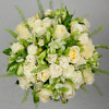 Thlaspi зеленовато белый букет доставка цветов и букетов в Вильнюсе Beatričės Gėlių Namai