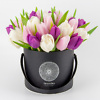 Tulpės juodoje gėlių dėžutėje Gėlės į namus Vilniuje Beatričės Gėlių Namai