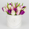 Tulpės baltoje gėlių dėžutėje Gėlės į namus Vilniuje Beatričės Gėlių Namai