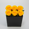 Stabilizuotos geltonos rožės keramikiniame vazone.