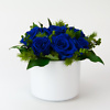Mėlynos stabilizuotos rožės