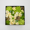 Kvadratinė gėlių dėžutė