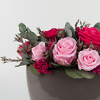 Miegančios rožės keramikiniame vazone kompozicija pristatymas Lietuvoje.