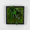 Preserved moss and plant picture